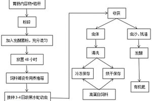 利用黑水虻处理屠宰后废弃畜禽胃肠内容物的方法