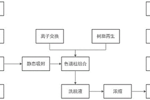 从甜菜废蜜中回收甜菜碱的工艺