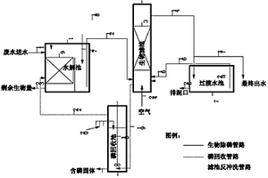 处理含磷废水的生物蓄磷与回收磷的方法
