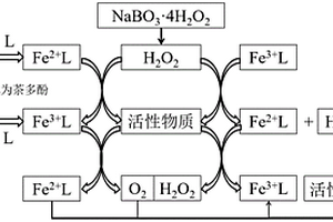 以过硼酸盐为氧化剂的类芬顿反应处理有机废水的方法