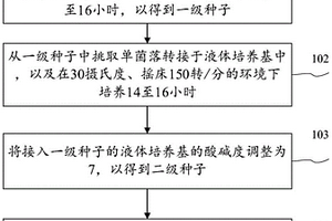 用于降解酚类和木质素的降解菌应用方法