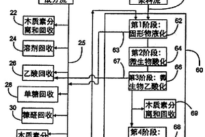 木质纤维素原料的同时厌氧消化和发酵