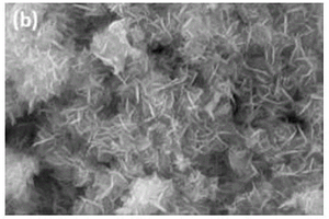 BiOCl/炭化鸡蛋膜复合可见光催化剂的制备方法及其应用