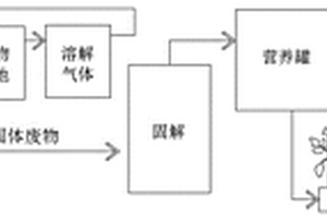 基于工厂化循环水养殖的鱼菜共生系统