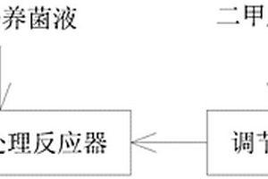 高效菌强化二甲胺废水的生化处理方法