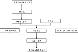 黑水虻虫菌复合制剂及其生产方法