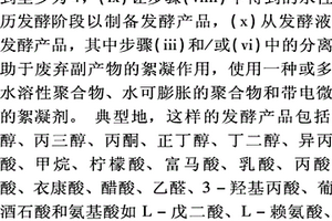 发酵产品的生产