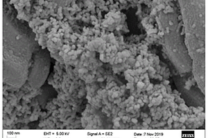 水体中Pb<Sup>2+</Sup>吸附材料的应用与制备方法