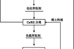 稀土分离用萃取剂的在线皂化与除Ca2+的方法