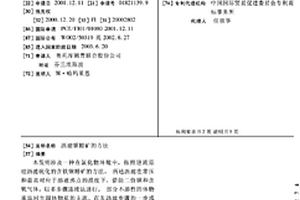 沥滤铜精矿的方法