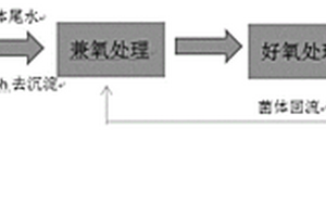 基于光合微生物的屠宰场污水处理方法