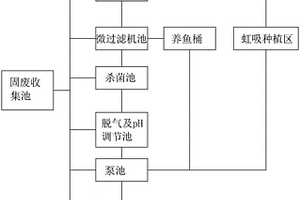 虹吸式鱼菜共生系统