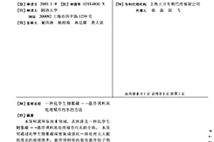 化学生物絮凝——悬浮填料床处理城市污水的方法
