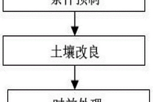 使土壤富硒降镉的强还原处理方法