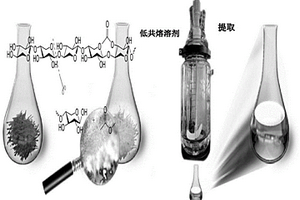 提取甘草药渣黄酮及分离纯化的方法