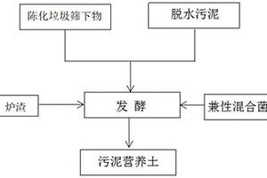 污泥营养土及其制备方法和应用