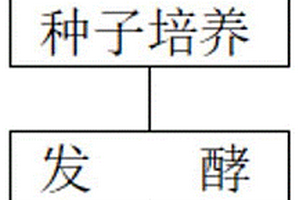 用于生产4-AA的酮还原酶制备方法