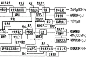 一种钢铁冶炼镁法脱硫液联产硫酸铵的系统