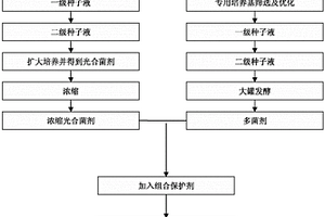 一种复合微生物制剂生产工艺