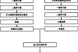 一种复合微生物制剂及其生产工艺