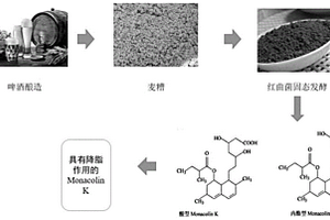 一种红曲菌利用麦糟产降脂成分Monacolin K的方法