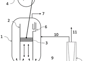 一种用于动物细胞培养的生物反应器