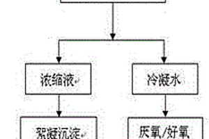 一种垃圾渗滤液的处理方法