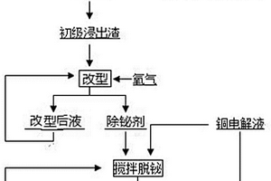 一种低成本从铜电解液中脱除铋的工艺