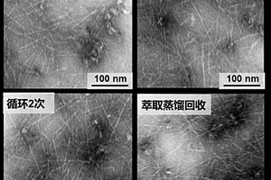 一种基于直接循环与萃取回收双策略循环TEMPO的CNFs生产工艺