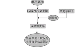 煤气化渣联合黑麦草修复Cd或Pb污染土壤的方法