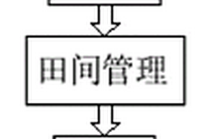 一种玉米种植方法