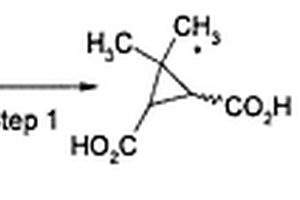 6.6-二甲基-3-氧杂双环[3.1.0]己烷-2.4-二酮的合成方法