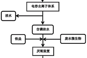 电容去离子结合厌氧铁还原合成蓝铁石的磷回收方法