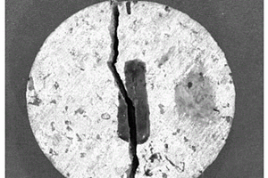 一种小型石灰岩倾倒型危岩体主控结构面闭合剂及其制备方法