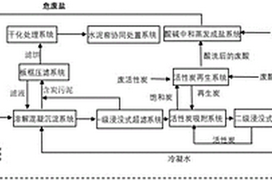 一种废盐、废酸、废碱、废活性炭的协同处置资源化系统