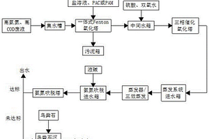 一种高氨氮、高COD废液处理技术