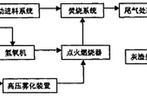 氢油混合废弃物焚烧炉