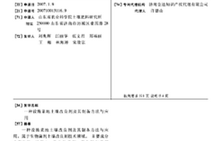 一种设施菜地土壤改良剂及其制备方法与应用