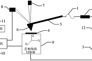 基于扫描探针显微镜的材料耐电晕放电老化性能检测装置