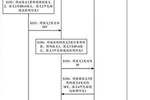 一种基于随流检测的报文处理方法及装置