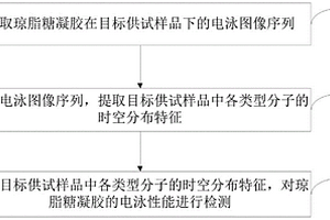 琼脂糖凝胶的电泳性能检测方法及相关设备