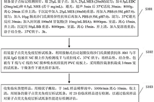 检测肠炎沙门氏菌量子点荧光免疫层析试纸条及制备方法