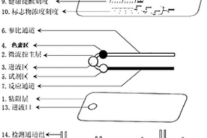 一种汗液微流控贴片及其可视化模型和制备方法