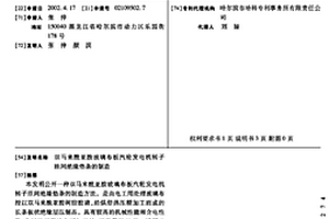 双马来酰亚胺玻璃布板汽轮发电机转子匝间绝缘垫条的制造