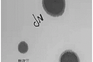 一种UV胶印油墨用颜料的评价方法