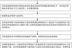 高杂质盐矿采卤溶腔储气性能检测方法