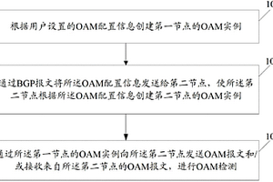 三层虚拟专用网的性能检测方法、节点和系统