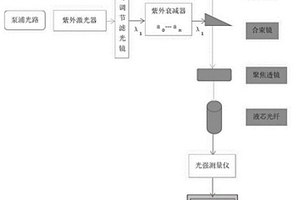 一种液芯光纤的光信号放大性能检测方法及其检测装置