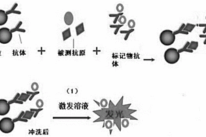 多指标联检化学发光免疫试剂盒及其制备方法