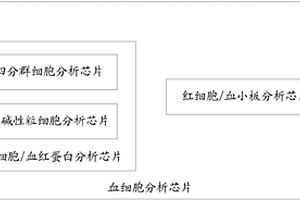 血细胞分析芯片、分析仪及分析方法